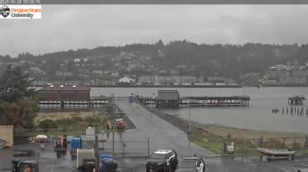 webcam newport oregon|【LIVE】 Webcam Newport